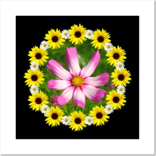 pink cosmos flower with sunflowers and daisy blossoms Posters and Art